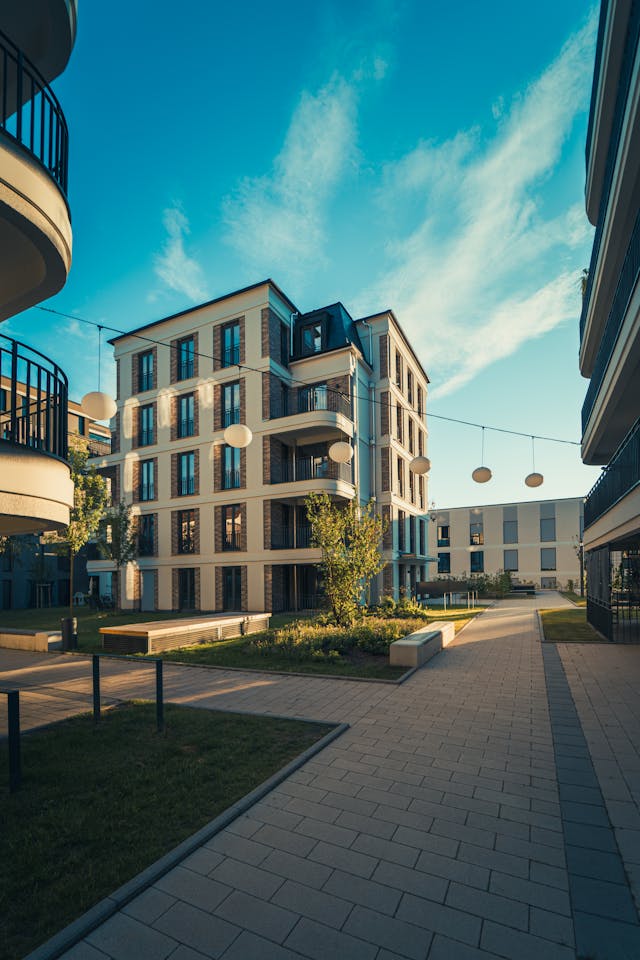pexels-volkerthimm-27307399 Pexels volkerthimm 27307399